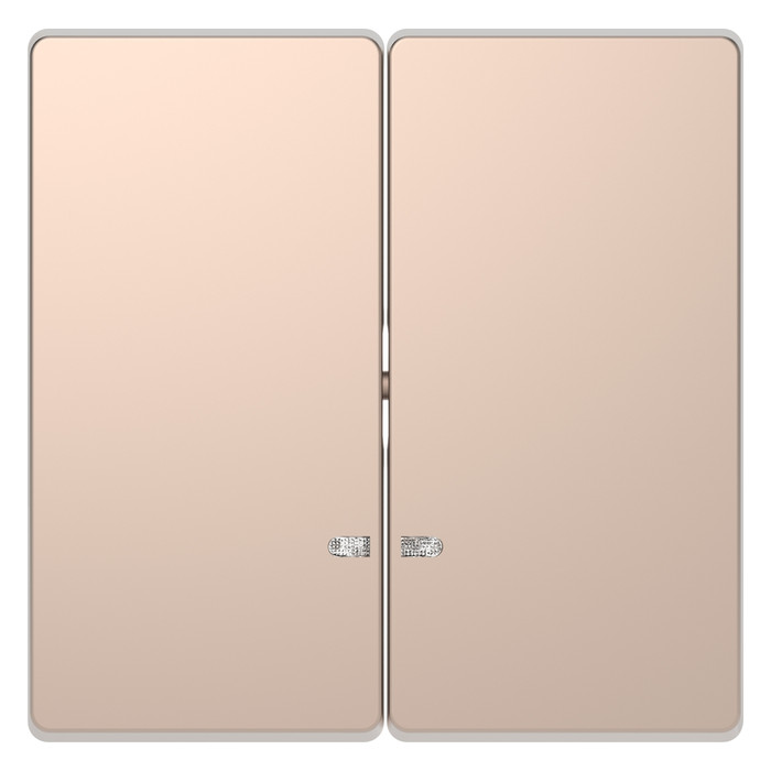 Клавиша двойная с линзами Schneider Electric MERTEN D-LIFE, шампань, MTN3420-6051