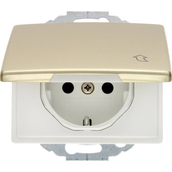 Розетка Berker ARSYS, скрытый монтаж, с заземлением, , золотой, 47570002